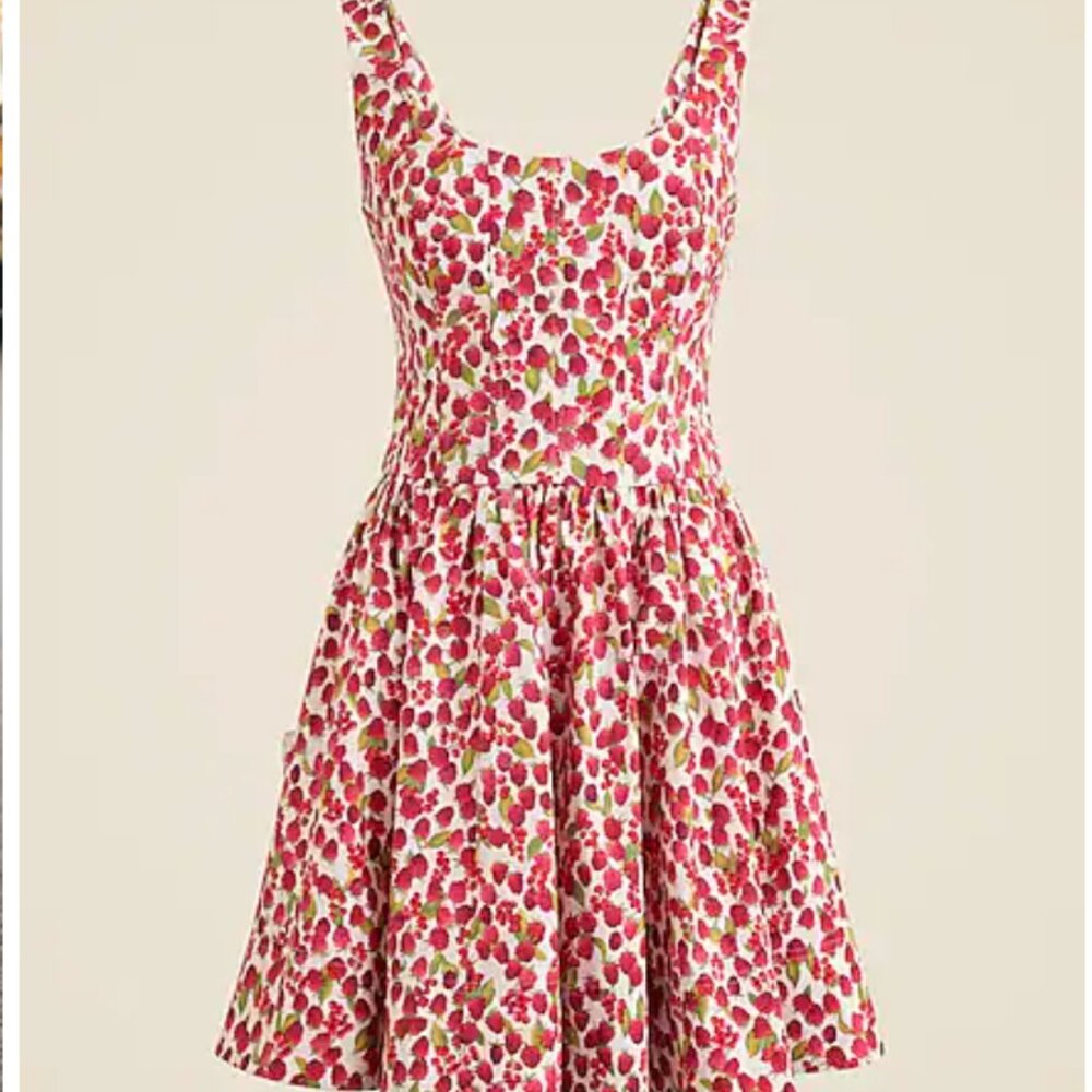 J Crew Raspberry Print Dress Plus Size
